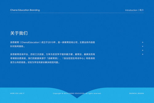辰思教育企業(yè)VI設(shè)計與品牌策劃方案